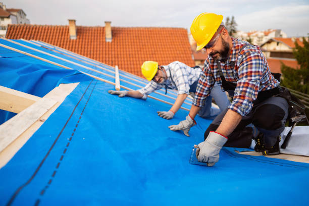 Best Roof Maintenance Services  in Hden Springs, ID